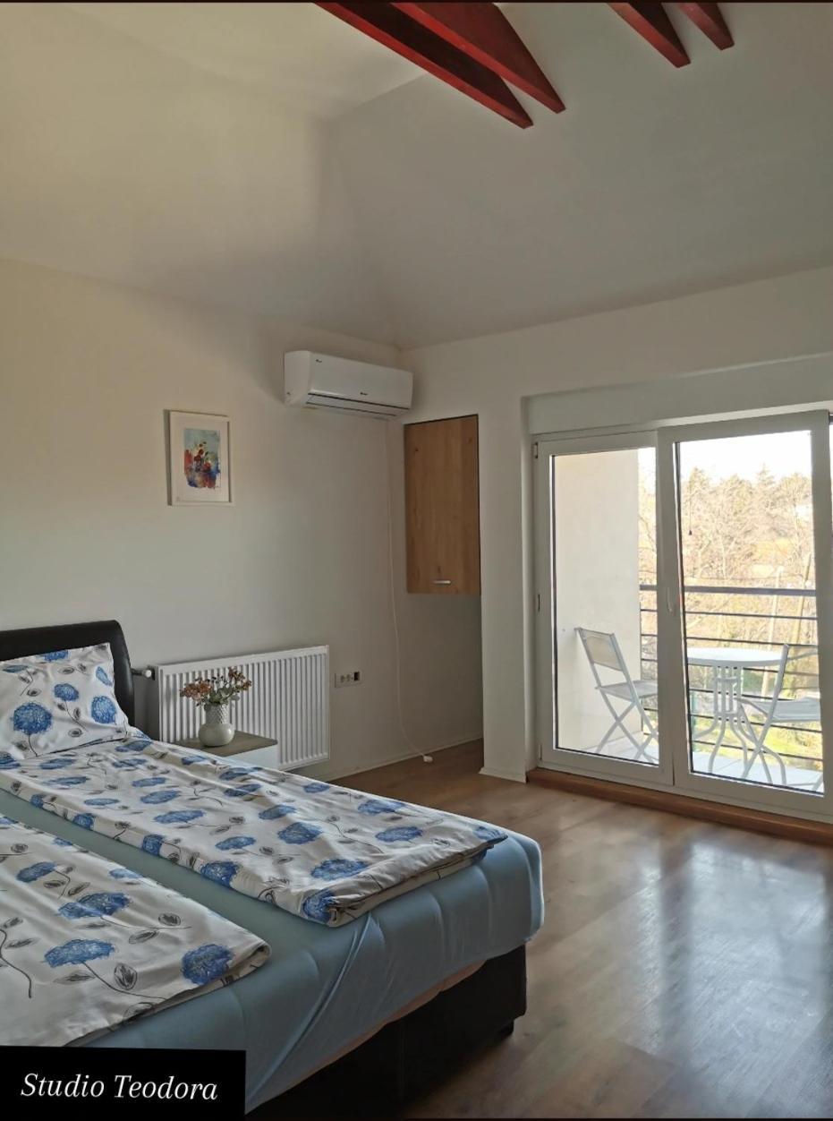 Vila Una Fruska Gora Novi Sad Eksteriør bilde